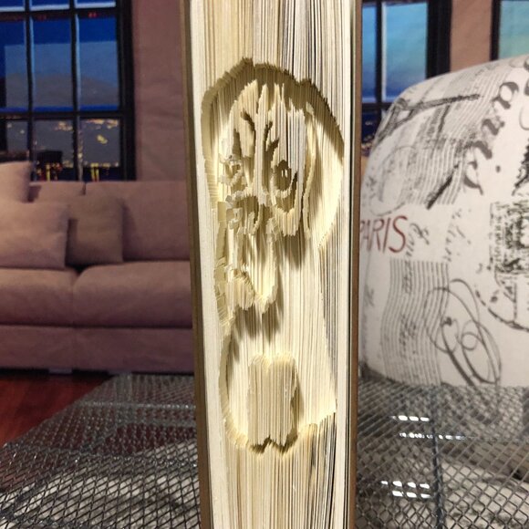 Unique Handcrafted Folded/Cut Book Art - A True Conversation Piece! Boxer Life - Picture 3 of 7